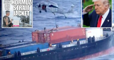 Iranâs Hormuz toll plan falters as Gulf nations side with US